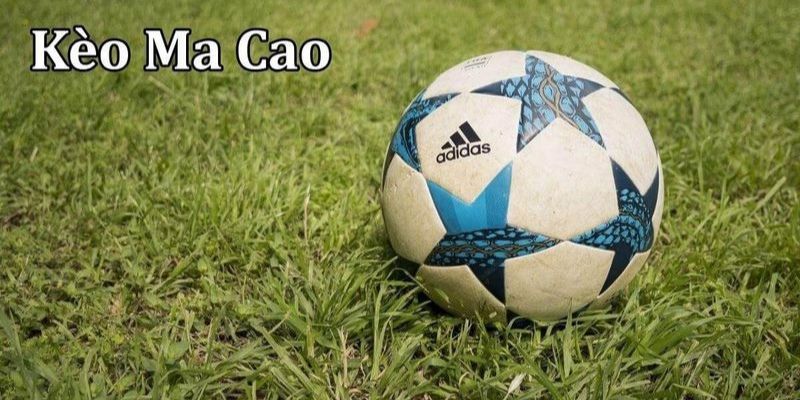 Tìm hiểu cách đăng ký và tham gia chơi kèo ma cao trên 888B